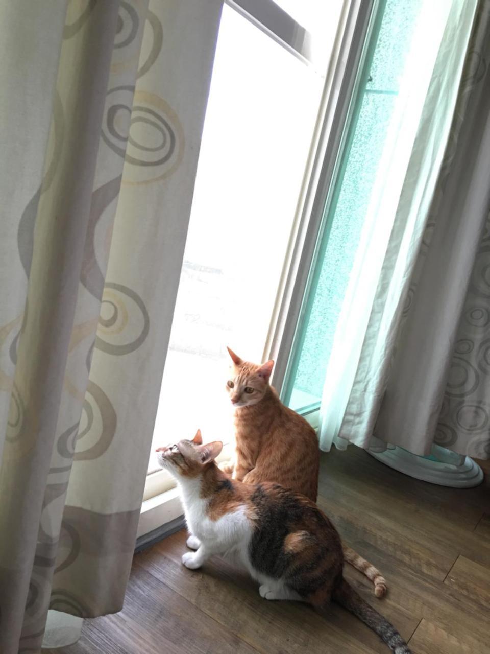 Beauty Home Homestay Hualien Eksteriør bilde